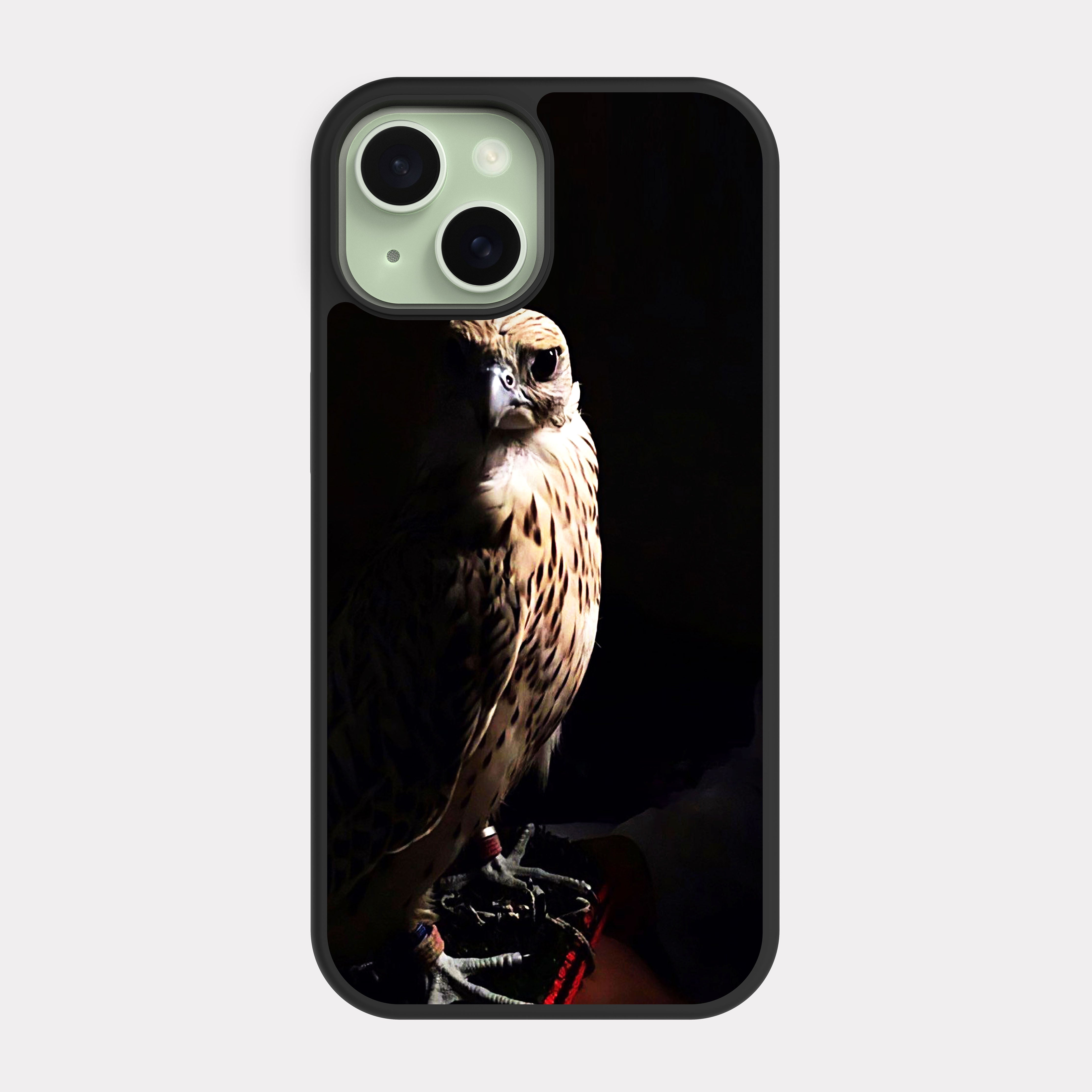 iPhone 15 case cover Hawk Black