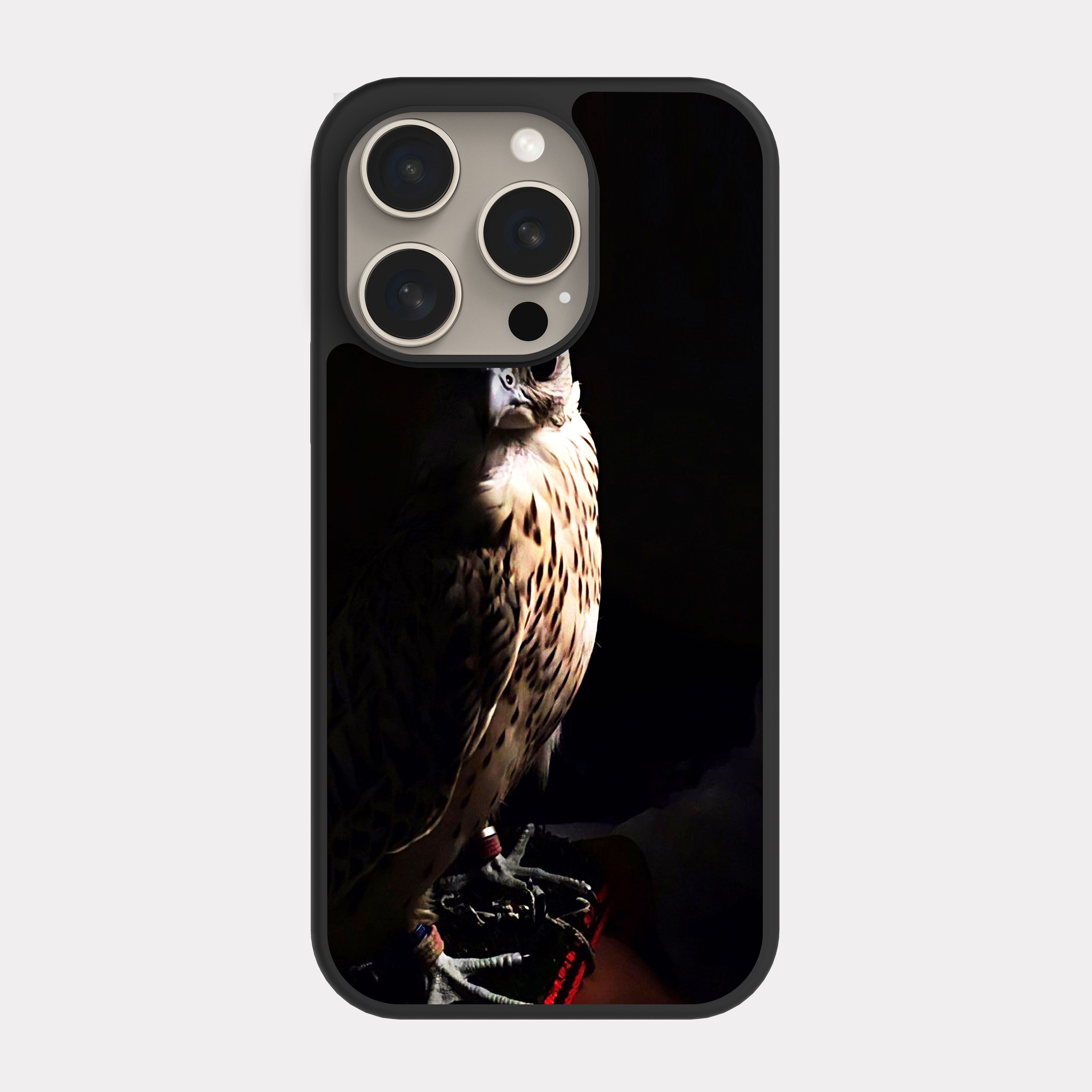 iPhone 15 Pro case cover Hawk Black
